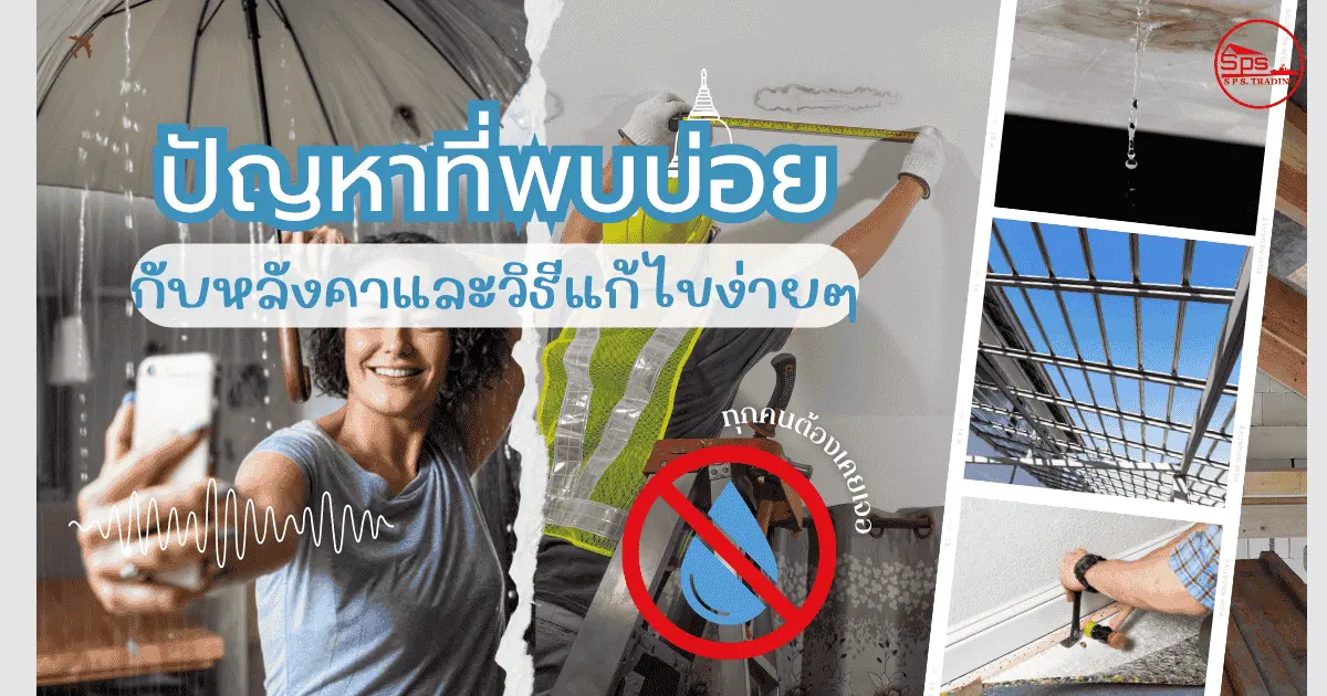 รวมปัญหาหลังคายอดฮิต พร้อมวิธีแก้แบบทำได้จริง